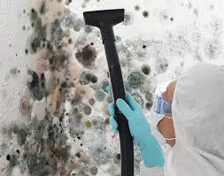 Why You Should Choose Our Mold Remediation Services in St John, IN